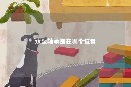 水泵轴承是在哪个位置 